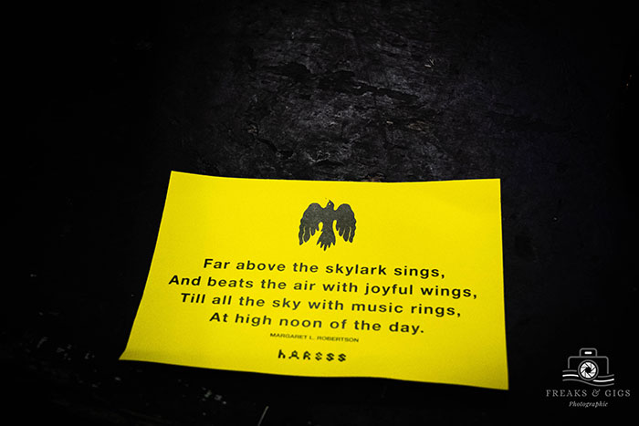 Haress @ Chaos Theory Festival 2025 – Photo by Nessie Spencer