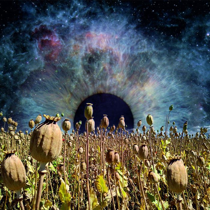 More Experience'Horizons Of Events' Artwork