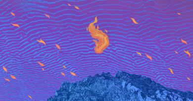 Pelican 'Flickering Resonance' Artwork