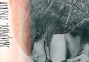 Review: Author & Punisher ‘Nocturnal Birding’