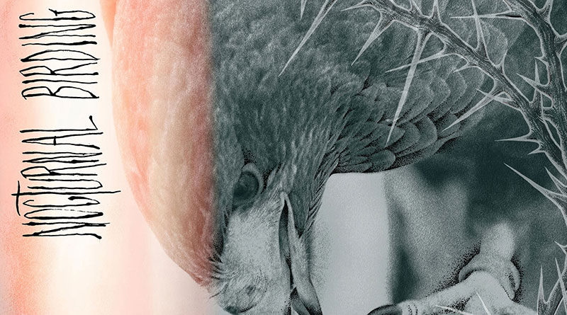 Review: Author & Punisher ‘Nocturnal Birding’
