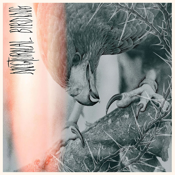 Author & Punisher'Nocturnal Birding' Artwork