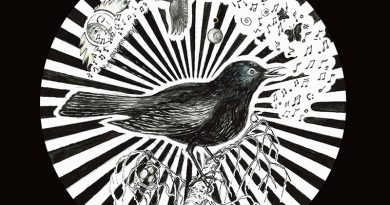 Per Svensson Psychedelic Sounds 'Berlin Nights' Artwork