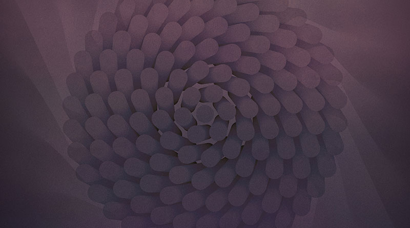 Psychonaut 'World Maker' Artwork