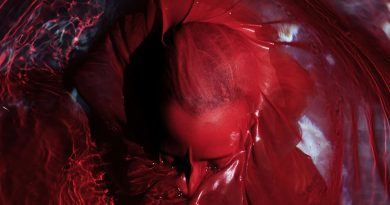Blackwater Holylight 'Not Here Not Gone' Artwork