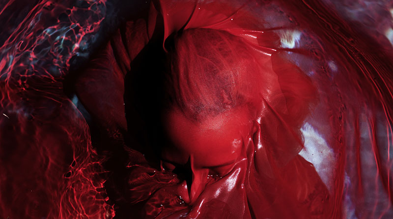 Blackwater Holylight 'Not Here Not Gone' Artwork