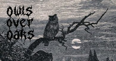 Owls Over Oaks 'O.O.O.' Artwork