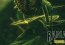 Review: Radian ‘Subterfuge’