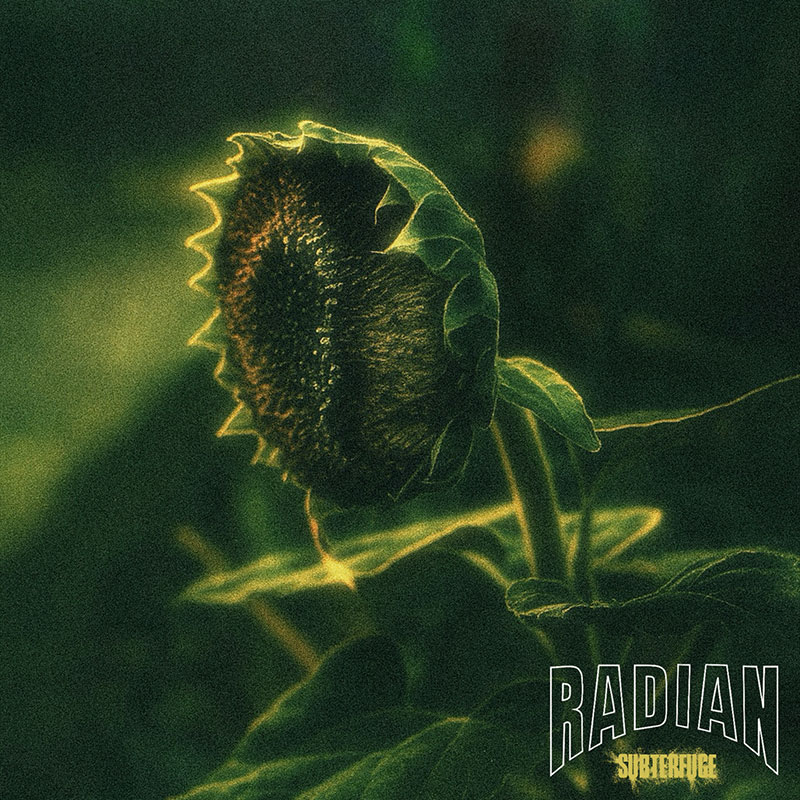 Radian'Subterfuge' Artwork