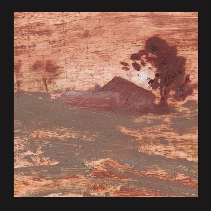 The Shits'Diet Of Worms' Artwork
