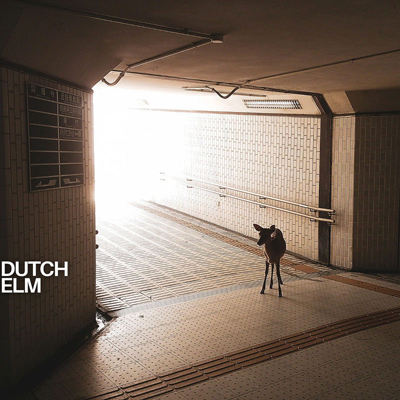 Dutch Elm - S/T - Artwork