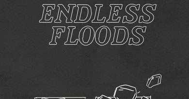 Endless Floods 'Passages' Artwork