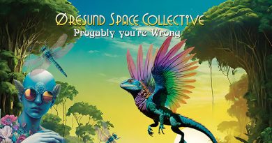 Øresund Space Collective 'Progably you’re Wrong' Artwork