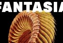 Review: Slift ‘Fantasia’
