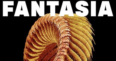 Slift 'Fantasia' Artwork