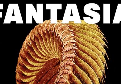 Review: Slift ‘Fantasia’