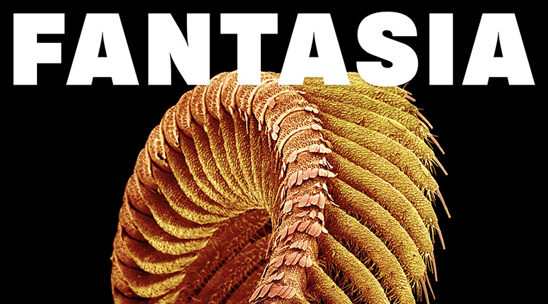 Review: Slift ‘Fantasia’