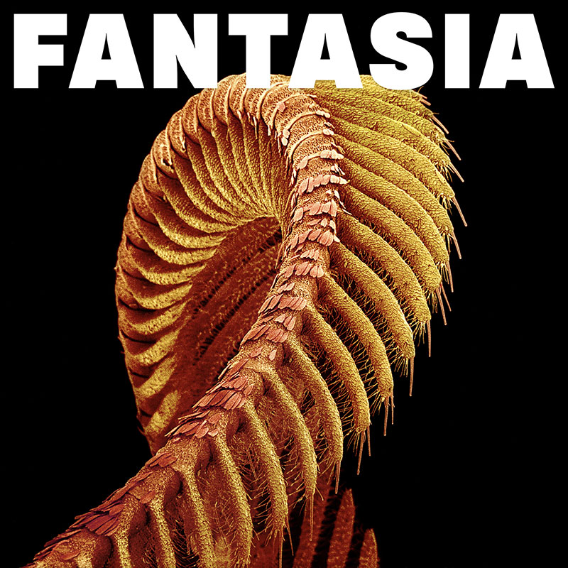 Slift'Fantasia' Artwork