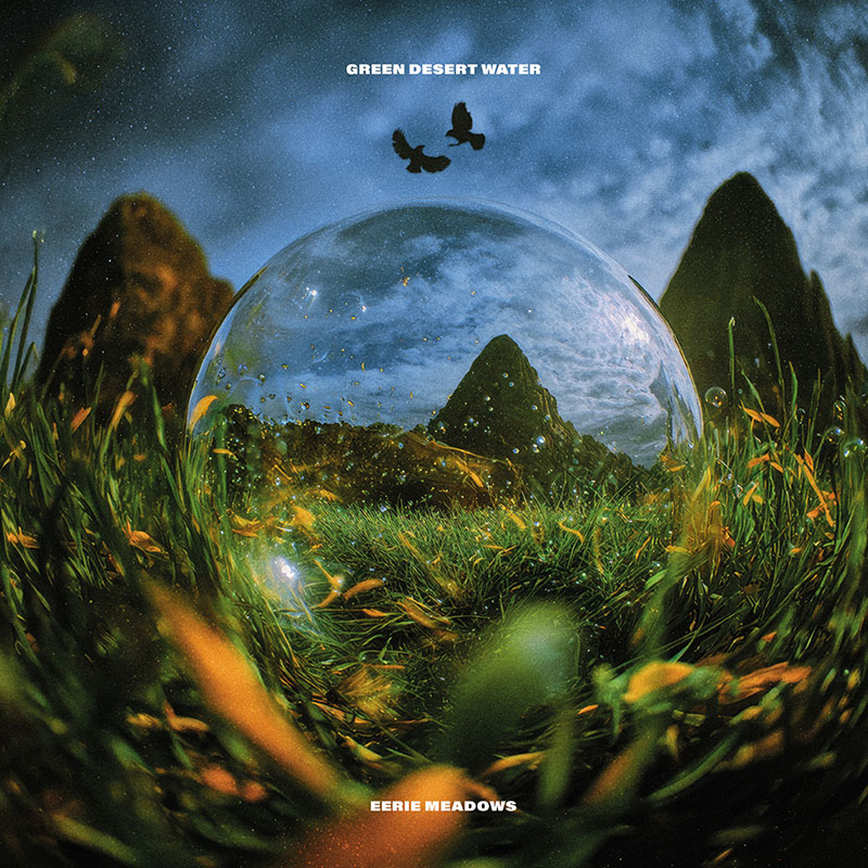 Green Desert Water'Eerie Meadows' Artwork