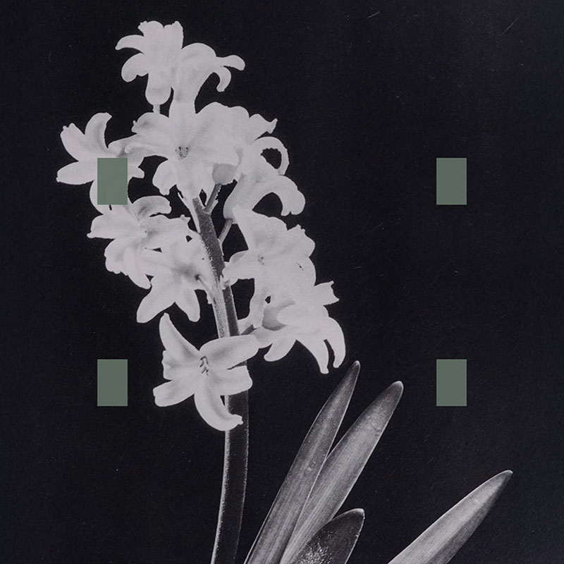 Trianglecuts'When Death Leaves' Artwork