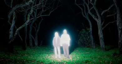 Gnoomes ‘Losey’ Artwork
