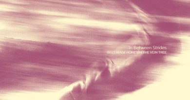 Review: Bees Made Honey In The Vein Tree ‘In Between Strides’ Review: Bees Made Honey In The Vein Tree ‘In Between Strides’