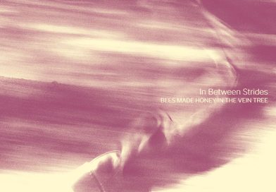 Review: Bees Made Honey In The Vein Tree ‘In Between Strides’ Review: Bees Made Honey In The Vein Tree ‘In Between Strides’