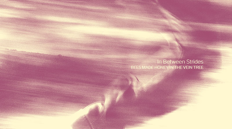 Review: Bees Made Honey In The Vein Tree ‘In Between Strides’ Review: Bees Made Honey In The Vein Tree ‘In Between Strides’