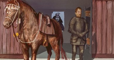 SEK 'Wallensteins Garage' Artwork