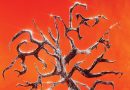 Review: Travo ‘Wasteland’ Review: Travo ‘Wasteland’