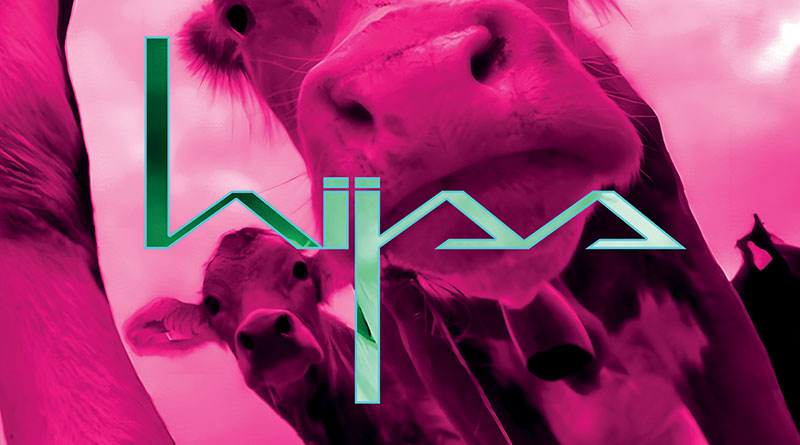 Review: hijss ‘hijss’